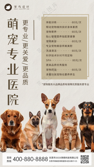 萌宠宠物专业医院体检活动促销手机海报