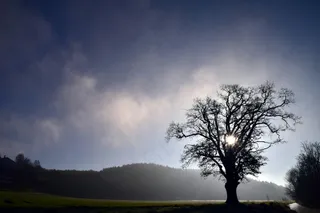 孤树对抗风暴的壮阔天空