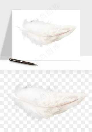 白羽毛漂浮彩色羽毛png免抠