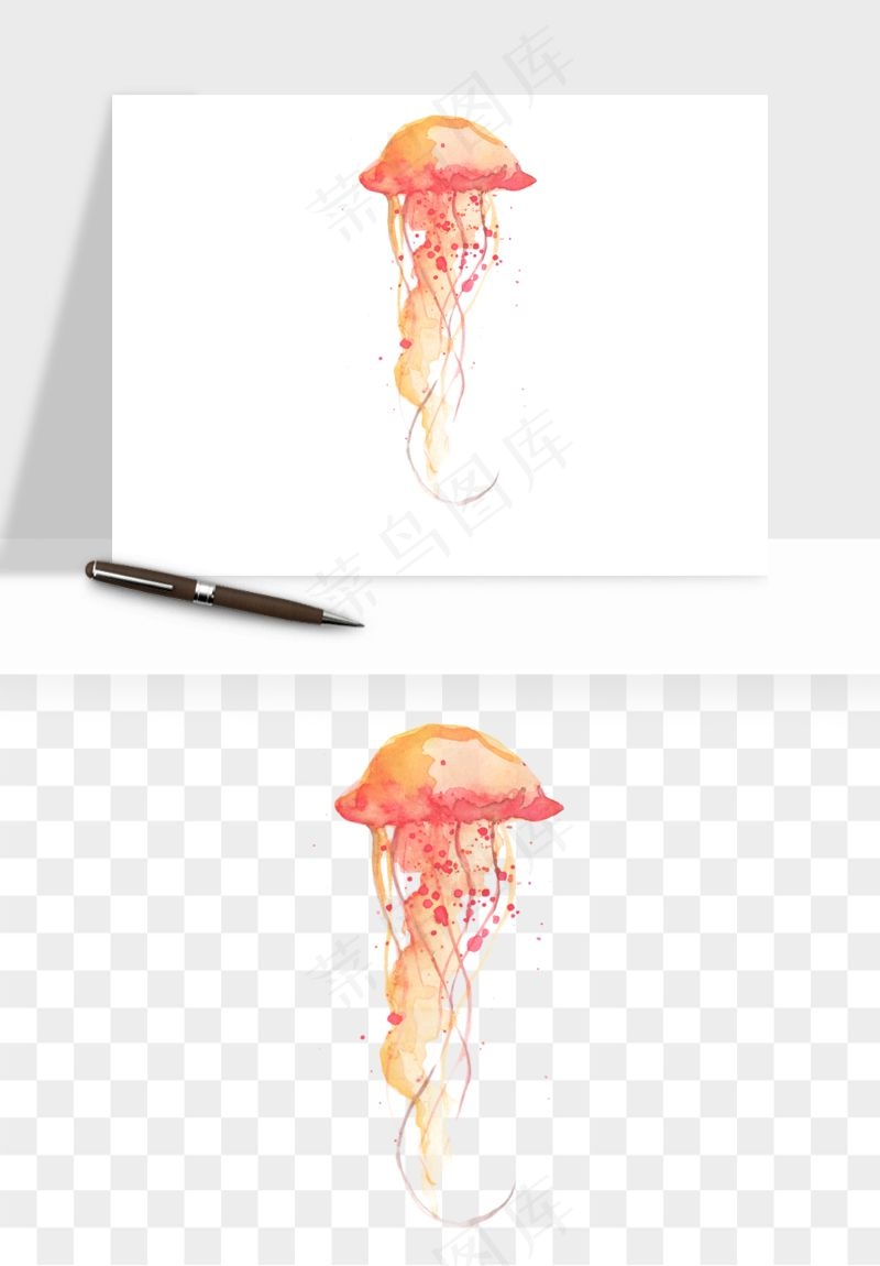 水母章鱼海底生物png免抠图