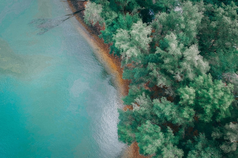 静谧绿意：航拍自然之韵