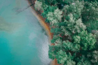 静谧绿意：航拍自然之韵