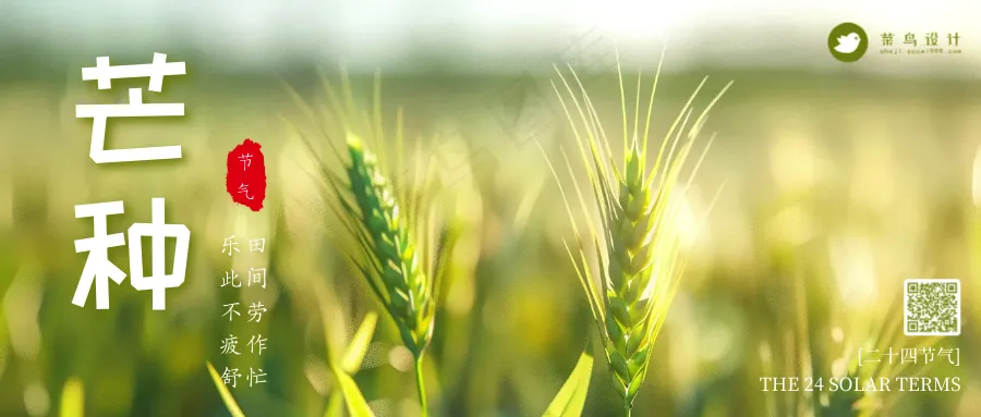 芒种公众号首图