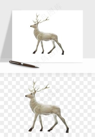 手绘梅花鹿小鹿麋鹿png免抠