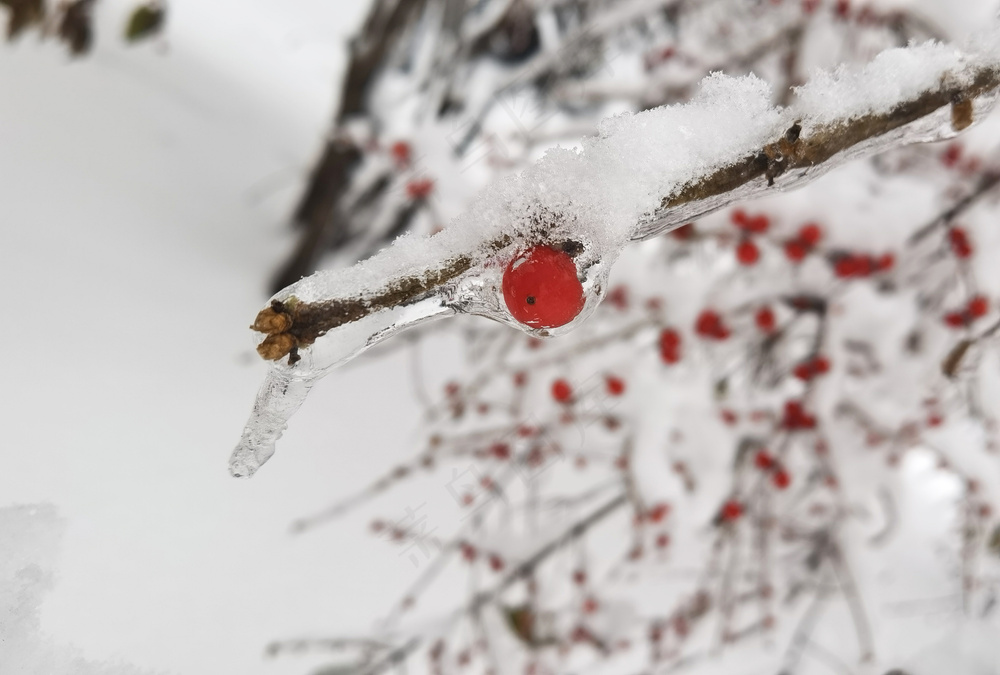白色高清冬日风景冰雪摄影图