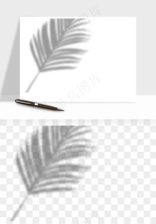 阴影植物窗户投影免抠元素