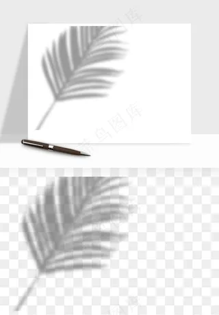 阴影植物窗户投影免抠元素