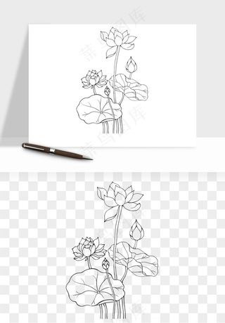 线描荷花莲花线条png免抠