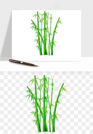 手绘竹子竹叶png免抠