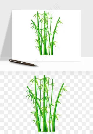 手绘竹子竹叶png免抠