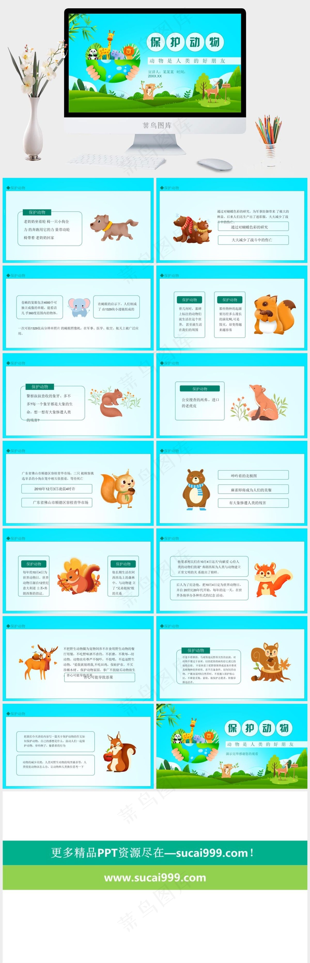 保护野生动物绿色环保PPT