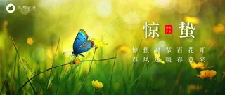 惊蛰公众号首图