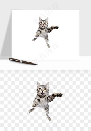 猫咪喵星人狗狗宠物元素png免抠