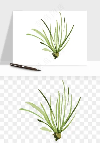 清新手绘植物png免抠