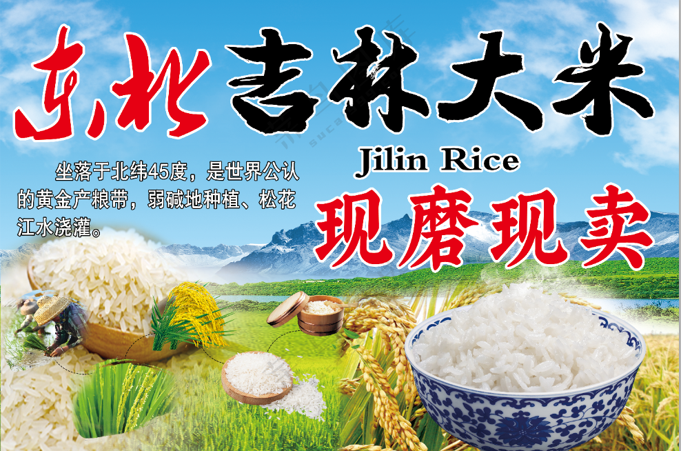 吉林大米图