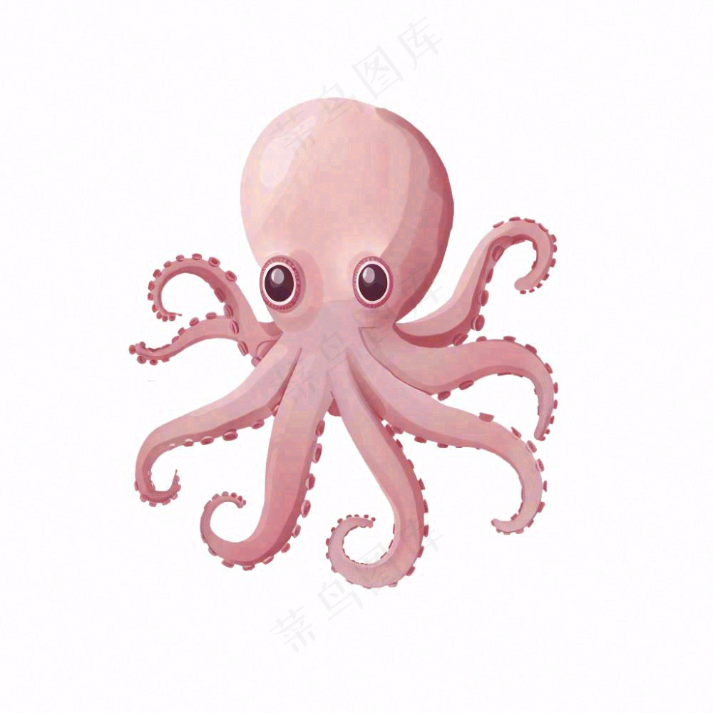 海洋动物章鱼墨鱼鱿鱼卡通插画免抠