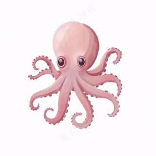 海洋动物章鱼墨鱼鱿鱼卡通插画免抠