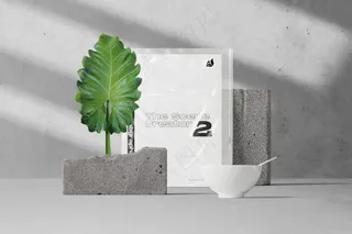 A4海报宣传单样机企业vi提案-17