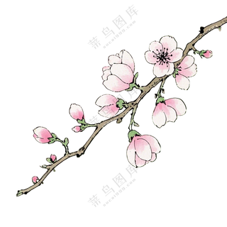 桃花枝条红色春分免扣图