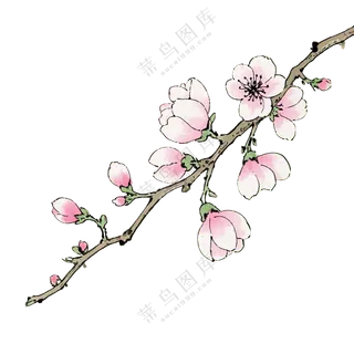 桃花枝条红色春分免扣图