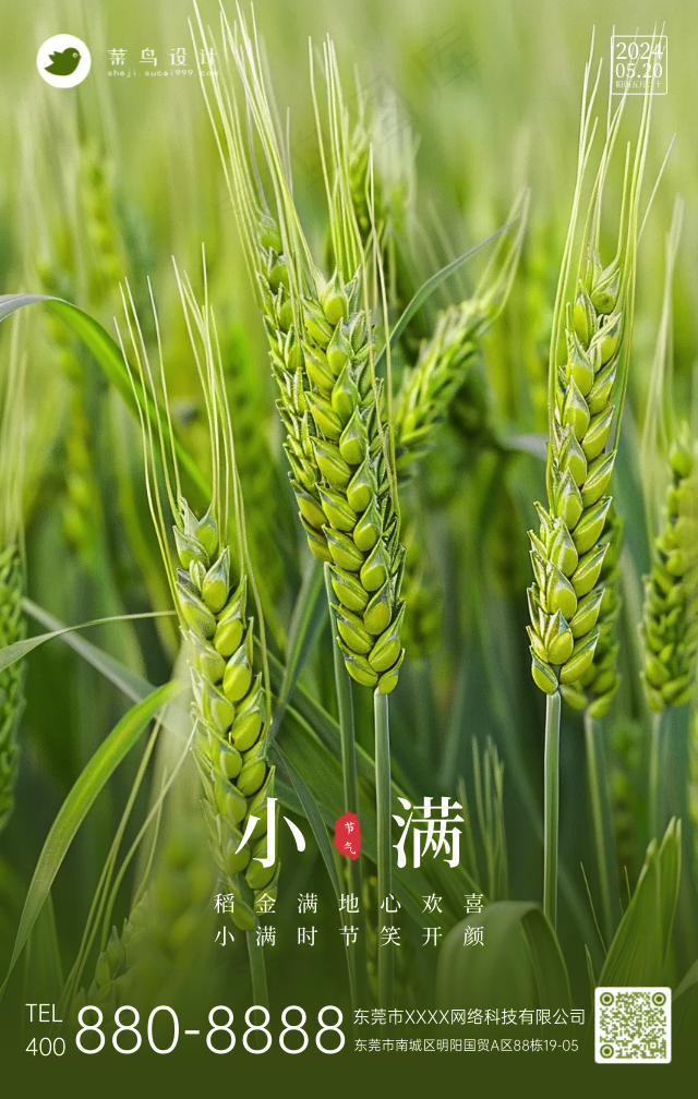 小满手机海报