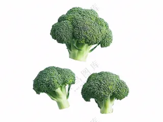 西蓝花蔬菜免抠