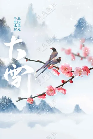 简约大雪节气海报