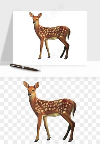手绘梅花鹿小鹿麋鹿png免抠
