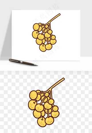 龙眼桂圆水果png免抠