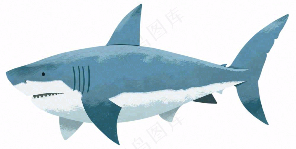 海洋鲨鱼动物卡通插画免抠