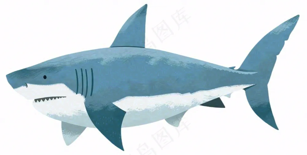 海洋鲨鱼动物卡通插画免抠