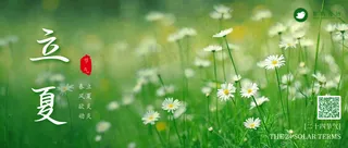 立夏公众号首图