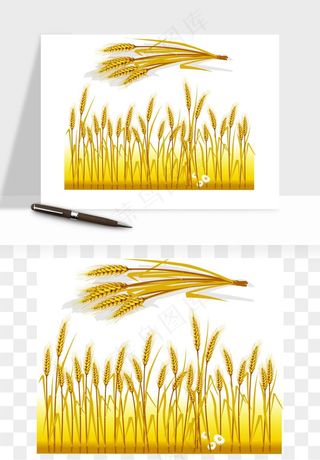 手绘麦穗稻穗麦秆矢量png免抠