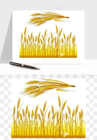 手绘麦穗稻穗麦秆矢量png免抠