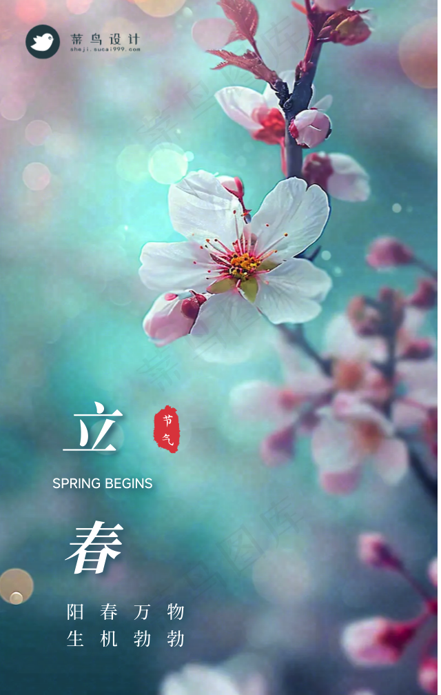 立春手机海报