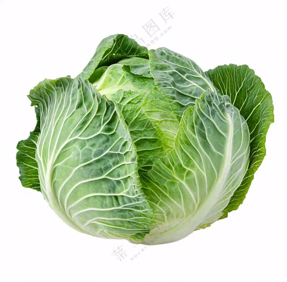 青菜蔬菜包菜免抠