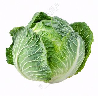 青菜蔬菜包菜免抠
