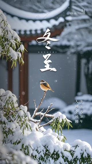 冬至节日大气唯美简约节气海报