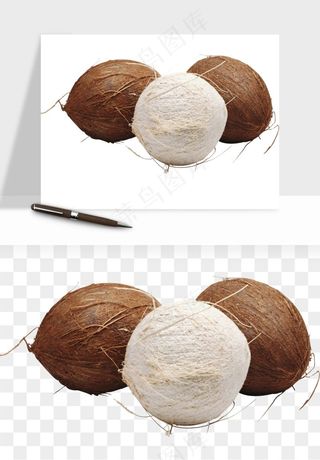 椰子椰果水果png免抠