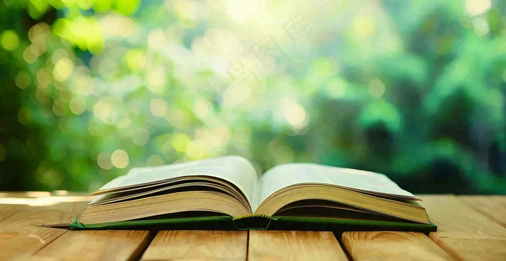 大自然绿色阅读书本世界读书日摄影图