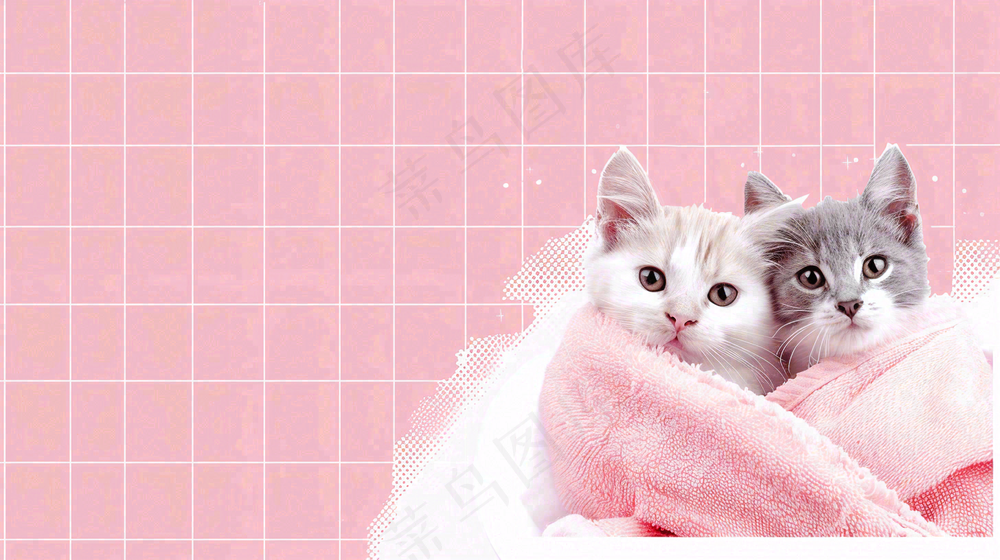 宠物常识宠物攻略猫狗卡通插画背景