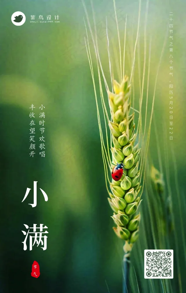 小满手机海报