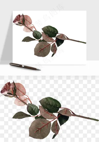 复古鲜花玫瑰png免抠