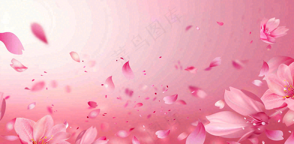 粉色樱花花瓣唯美妇女节春天摄影图
