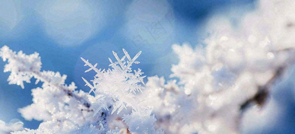 冰冻预警暴雪预警通知公告背景