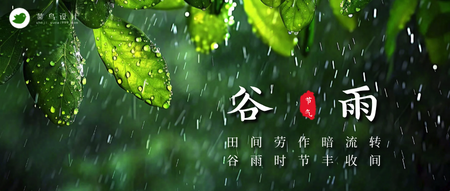 谷雨公众号首图