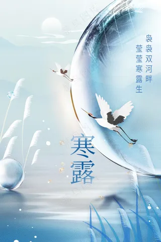 寒露节气传统活动宣传海报