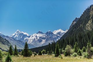 户外雪山山脚树木背景素材