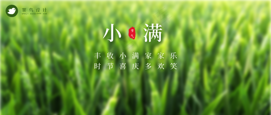 小满公众号首图