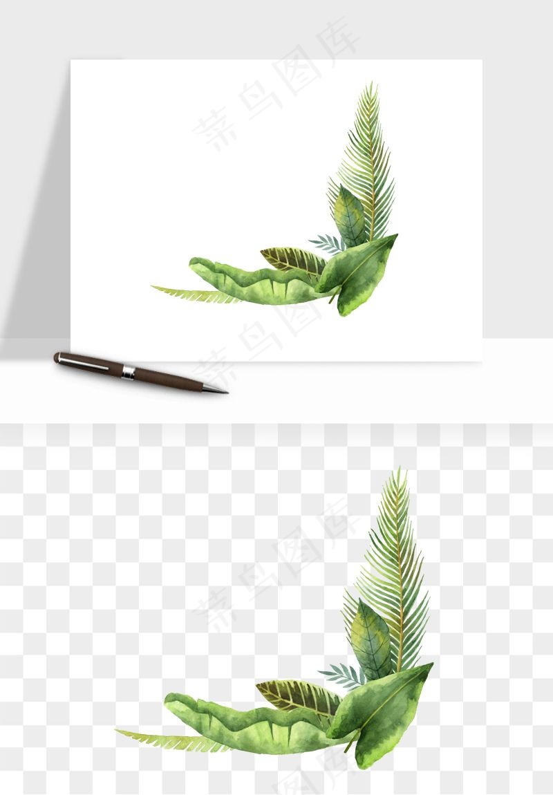 植物花卉边框装饰png免抠